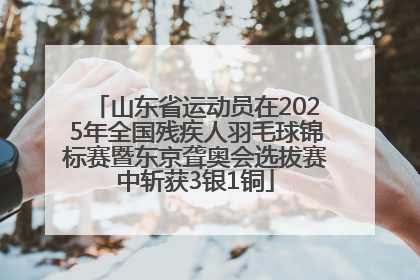 山东省运动员在2025年全国残疾人羽毛球锦标赛暨东京聋奥会选拔赛中斩获3银1铜