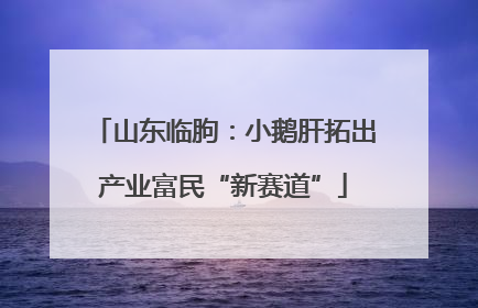 山东临朐：小鹅肝拓出产业富民“新赛道”