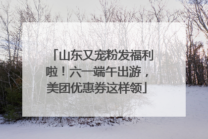 山东又宠粉发福利啦！六一端午出游，美团优惠券这样领