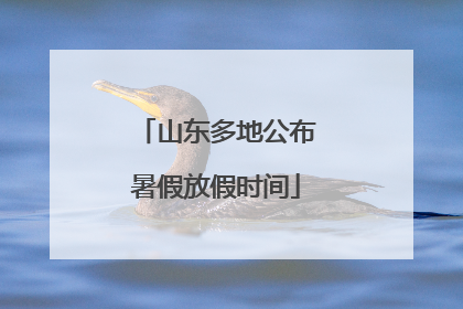 山东多地公布暑假放假时间