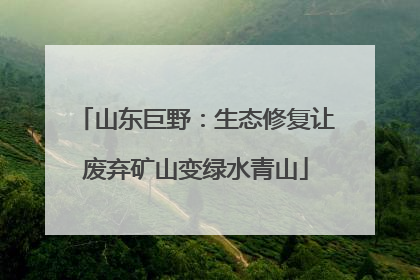 山东巨野：生态修复让废弃矿山变绿水青山