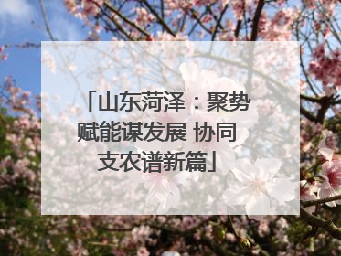 山东菏泽：聚势赋能谋发展 协同支农谱新篇