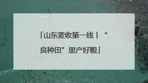 山东麦收第一线丨“良种田”里产好粮