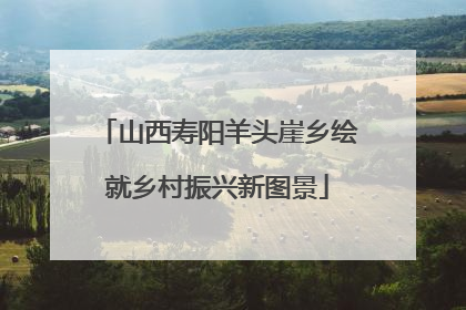 山西寿阳羊头崖乡绘就乡村振兴新图景