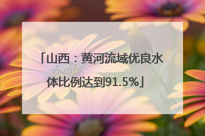 山西：黄河流域优良水体比例达到91.5%