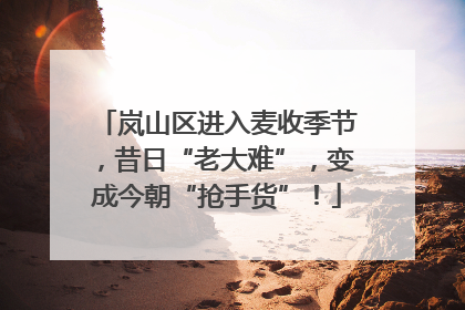 岚山区进入麦收季节，昔日“老大难”，变成今朝“抢手货”！