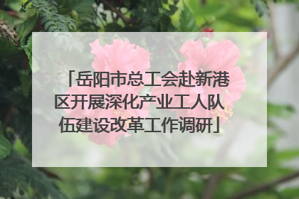 岳阳市总工会赴新港区开展深化产业工人队伍建设改革工作调研
