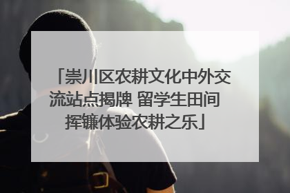 崇川区农耕文化中外交流站点揭牌 留学生田间挥镰体验农耕之乐