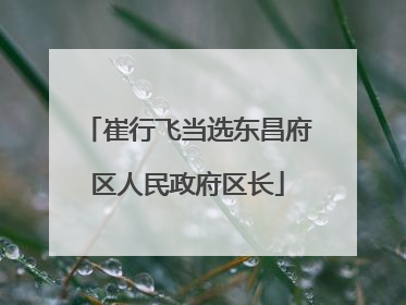 崔行飞当选东昌府区人民政府区长