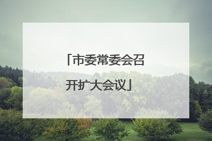 市委常委会召开扩大会议