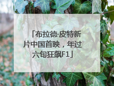 布拉德·皮特新片中国首映，年过六旬狂飙F1