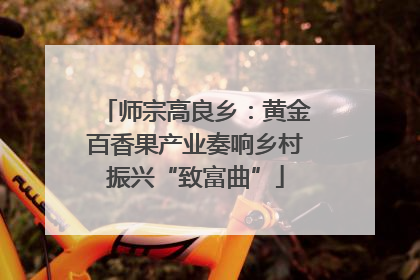 师宗高良乡：黄金百香果产业奏响乡村振兴“致富曲”