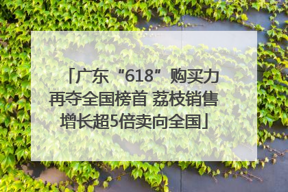 广东“618”购买力再夺全国榜首 荔枝销售增长超5倍卖向全国