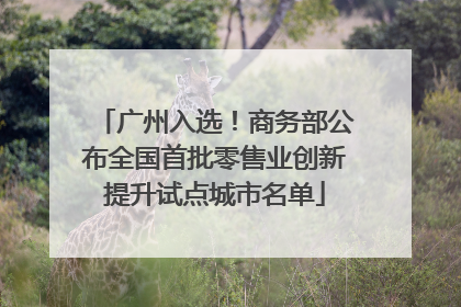 广州入选！商务部公布全国首批零售业创新提升试点城市名单