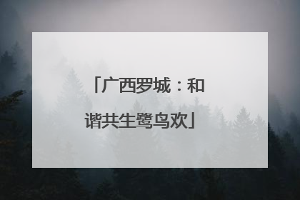 广西罗城：和谐共生鹭鸟欢