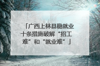 广西上林县稳就业十条措施破解“招工难”和“就业难”