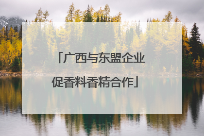 广西与东盟企业促香料香精合作