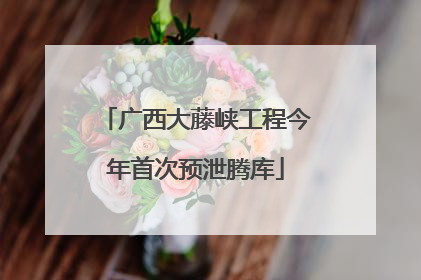 广西大藤峡工程今年首次预泄腾库