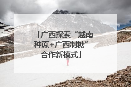广西探索“越南种蔗+广西制糖”合作新模式