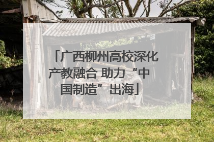 广西柳州高校深化产教融合 助力“中国制造”出海
