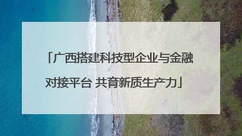 广西搭建科技型企业与金融对接平台 共育新质生产力