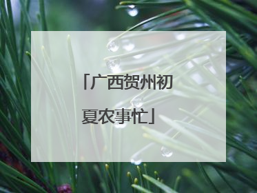 广西贺州初夏农事忙