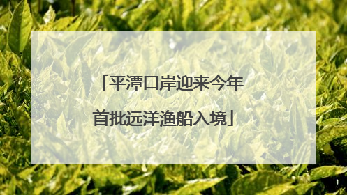 平潭口岸迎来今年首批远洋渔船入境