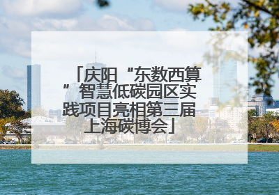 庆阳“东数西算”智慧低碳园区实践项目亮相第三届上海碳博会