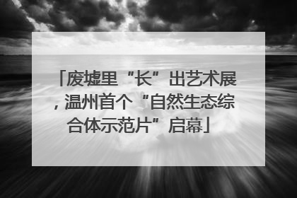 废墟里“长”出艺术展，温州首个“自然生态综合体示范片”启幕