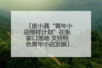 度小满“青年小店榜样计划”在张家口落地 支持特色青年小店发展