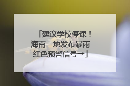 建议学校停课！海南一地发布暴雨红色预警信号→