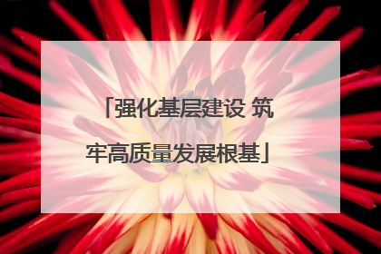 强化基层建设 筑牢高质量发展根基