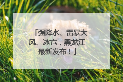 强降水、雷暴大风、冰雹，黑龙江最新发布！