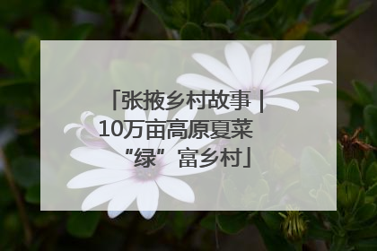 张掖乡村故事｜10万亩高原夏菜“绿”富乡村
