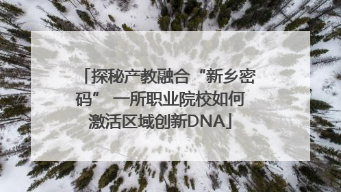 探秘产教融合“新乡密码” 一所职业院校如何激活区域创新DNA