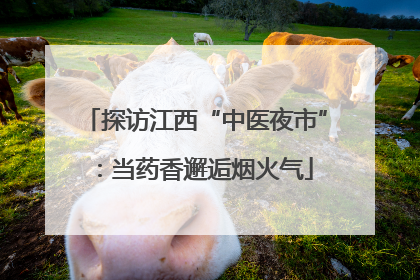 探访江西“中医夜市”：当药香邂逅烟火气