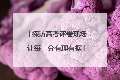 探访高考评卷现场：让每一分有理有据