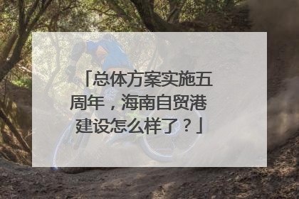 总体方案实施五周年，海南自贸港建设怎么样了？