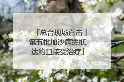 总台现场直击丨第五批加沙病患抵达约旦接受治疗