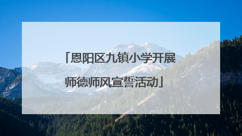 恩阳区九镇小学开展师德师风宣誓活动