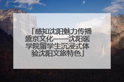 感知沈阳魅力传播盛京文化——沈阳医学院留学生沉浸式体验沈阳文旅特色