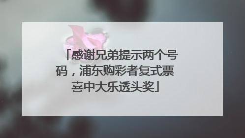 感谢兄弟提示两个号码，浦东购彩者复式票喜中大乐透头奖