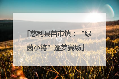 慈利县苗市镇：“绿茵小将”逐梦赛场