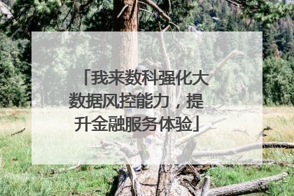 我来数科强化大数据风控能力，提升金融服务体验