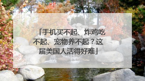 手机买不起、炸鸡吃不起、宠物养不起？这届美国人活得好难