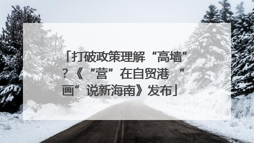 打破政策理解“高墙”？《“营”在自贸港 “画”说新海南》发布