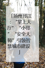 扬州邗江：“掌上大厅”“小邗”“安全大师”引领智慧城市建设