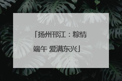 扬州邗江：粽情端午 爱满东兴