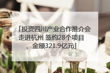 投资四川产业合作推介会走进杭州 签约28个项目、金额321.9亿元