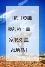 抗日英雄廖海涛：舍家取义 血战塘马
